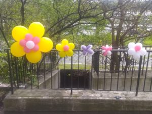Yellow and pink and purple and white flower balloons tied to a fence for outside decorations 